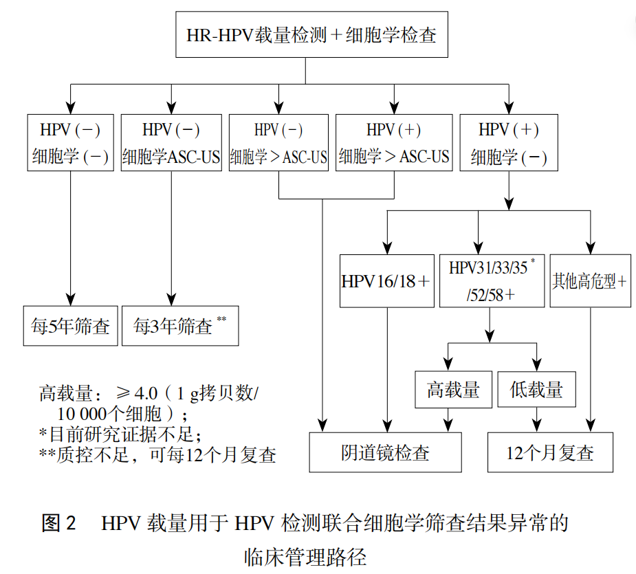 HPV 载量用于HPV检测联合细胞学筛查结果异常的临床管理路径