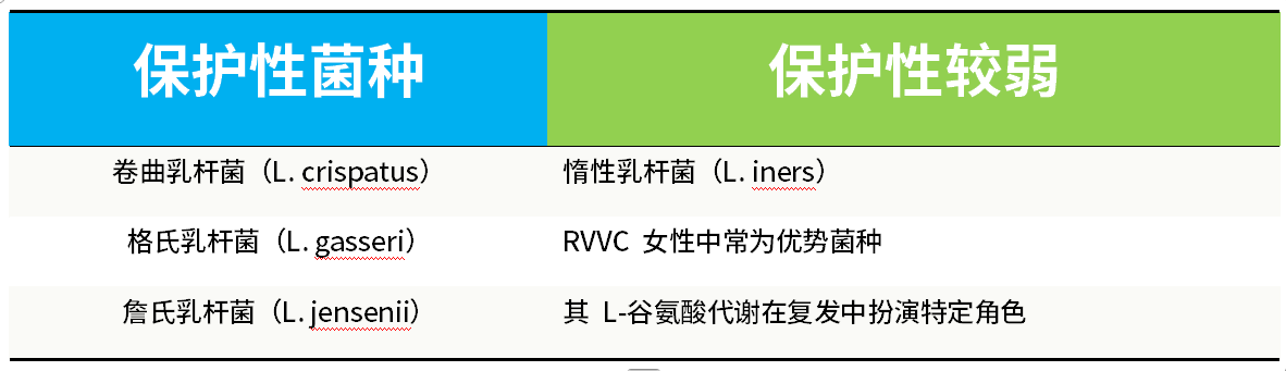 综述明确指出:乳杆菌对念珠菌病的保护效应高度依赖物种甚至菌株而非属的水平。这一结论对于理解为什么笼统的“乳杆菌优势”报告对临床决策价值有限至关重要。
