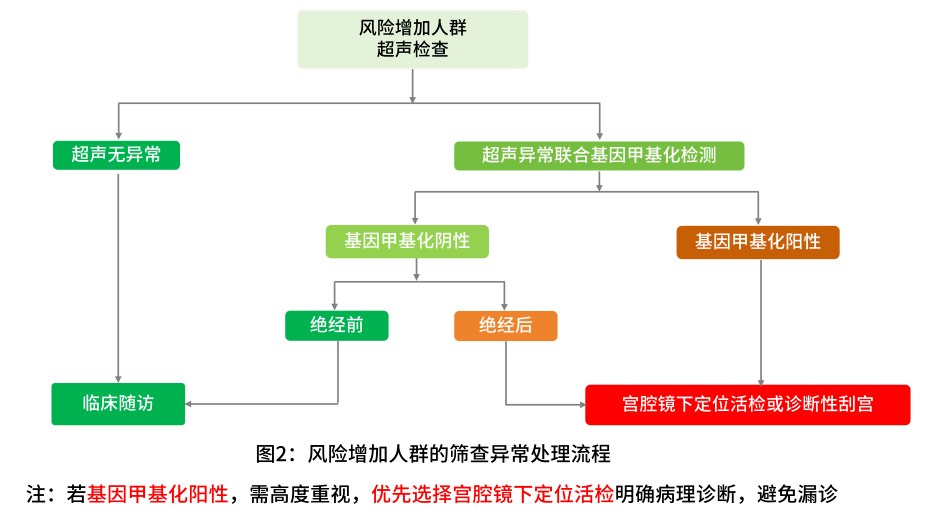 子宫内膜癌风险增加人群筛查管理_BMI肥胖代谢异常女性风险评估