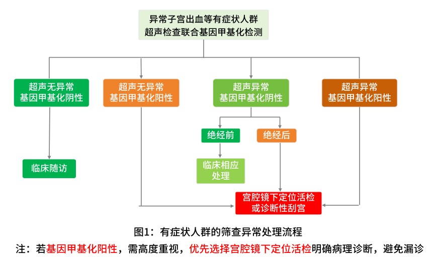子宫内膜癌风险分层筛查流程图_超声检查与基因甲基化检测路径