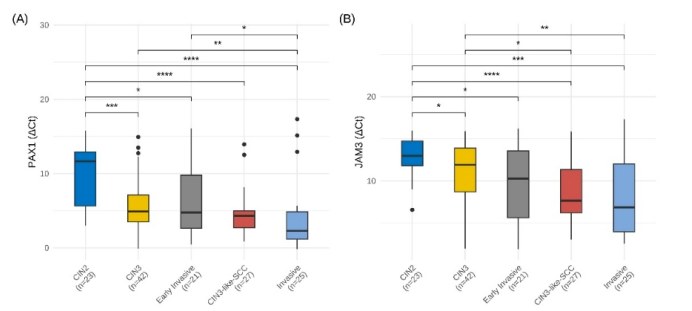 北京大学人民医院魏丽惠教授团队发表于《Clinical Epigenetics》的前瞻性回顾研究，通过HPV病毒载量与PAX1/JAM3双基因甲基化两大分子标志物，对这一特殊类型宫颈癌进行了探索，为临床精准诊断提供全新分子依据。