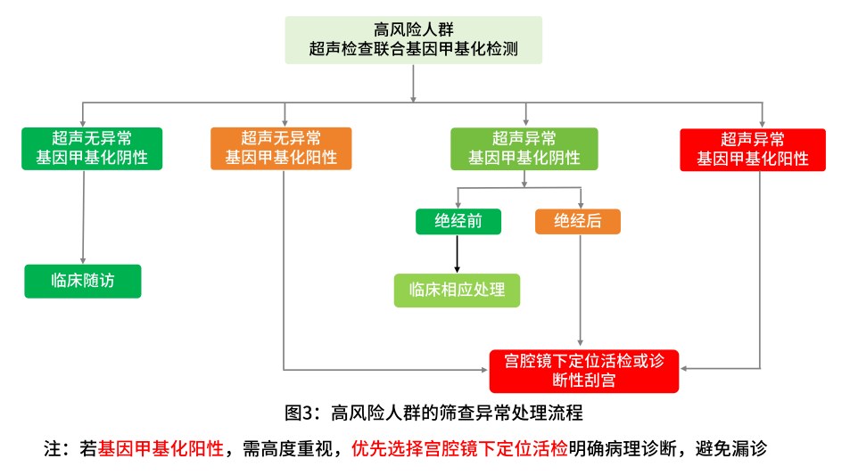 Lynch综合征女性子宫内膜癌高风险筛查_超声联合CDO1AJAP1GALR1甲基化检测