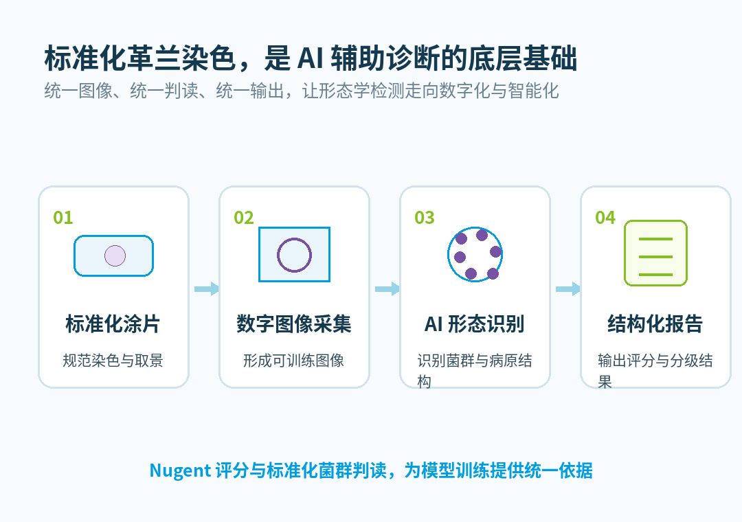 目前阴道微生态 AI 图像辅助诊断技术，多以标准化的革兰氏染色涂片图像作为深度学习模型的训练与检测基础[10]。Nugent 评分及菌群形态判读的标准化体系，为卷积神经网络模型提供了统一判读依据，是检验科形态学检测数字化、智能化升级的重要底层支撑。
