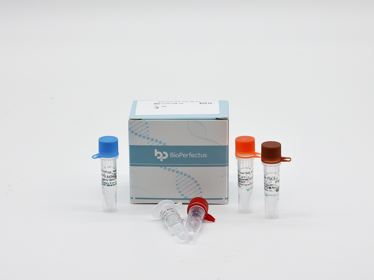 BioPerfectus - Hantavirus Real Time PCR Kit