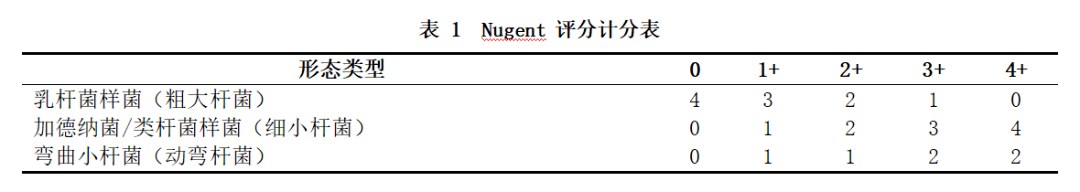 细菌性阴道病Nugent评分标准及0到10分判读方法
