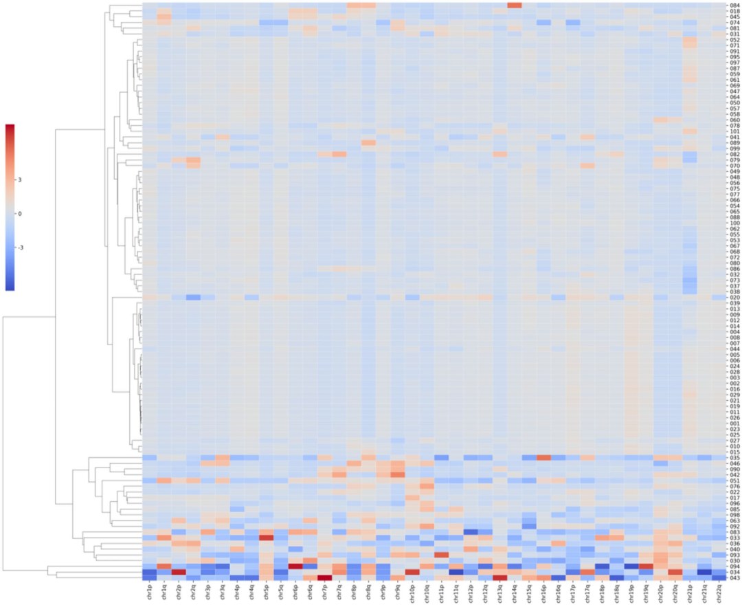 基于染色体臂Z-score的聚类热图